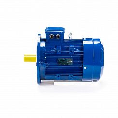 Электродвигатель ESQ 100 LB4-SDN- 3/1500 IMB5