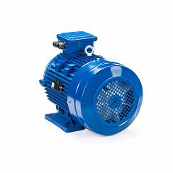 Электродвигатель ESQ 100 LB4-SDN- 3/1500 IMB34