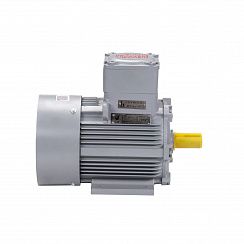 Электродвигатель АИМУ 100 L2 У1, 380В, 1ExdIIBT4 Gb, 5,5/3000 IM1081