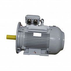Электродвигатель ESQ PR 160 L2-SDN-Б1-S12-IE2 18,5/3000 IMB35