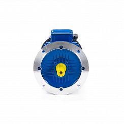 Электродвигатель ESQ 100 LB4-SDN- 3/1500 IMB5