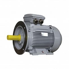 Электродвигатель ESQ PR 160 L2-SDN-Б1-S12-IE2 18,5/3000 IMB35