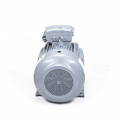 Электродвигатель ESQ PR 225 S4-SDN-Б1-S12-IE3 37/1500 IMB3