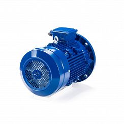 Электродвигатель ESQ 100 LB4-SDN- 3/1500 IMB5
