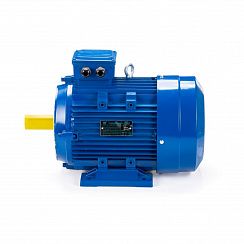 Электродвигатель ESQ 100 LB4-SDN- 3/1500 IMB34