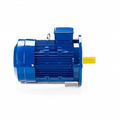 Электродвигатель ESQ 100 LB4-SDN- 3/1500 IMB5