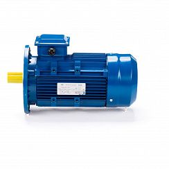 Электродвигатель ESQ 71 C4-SDN- 0,55/1500 IMB5