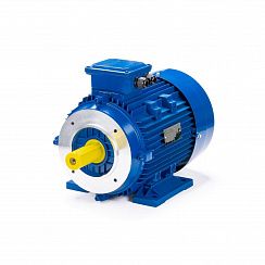 Электродвигатель ESQ 100 LB4-SDN- 3/1500 IMB34