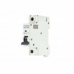 Автоматический выключатель HGD63M 1PMCS0000C C 1P 10А 6kA (STANDARD)