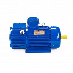 Электродвигатель 5МТН 225 М8 30/750 IM1004