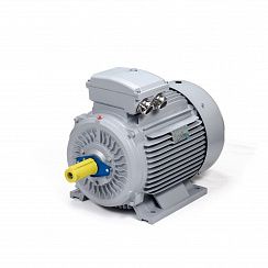 Электродвигатель ESQ PR 225 S4-SDN-Б1-S12-IE3 37/1500 IMB3