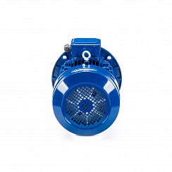 Электродвигатель ESQ 100 LB4-SDN- 3/1500 IMB5