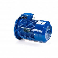 Электродвигатель ESQ 100 LB4-SDN- 3/1500 IMB5