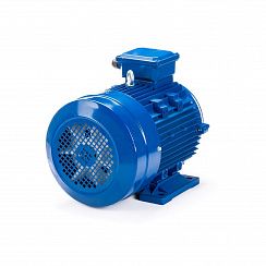 Электродвигатель ESQ 100 LС4-SDN- 4/1500 IMB34