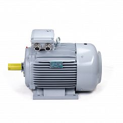 Электродвигатель ESQ PR 225 S4-SDN-Б1-S12-IE3 37/1500 IMB3