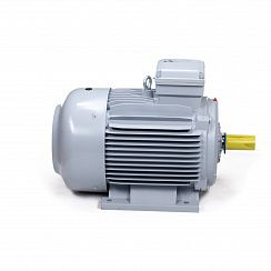 Электродвигатель ESQ PR 225 S4-SDN-Б1-S12-IE3 37/1500 IMB3