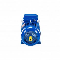 Электродвигатель 5МТН 225 L8 37/750 IM1003