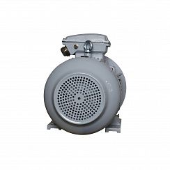 Электродвигатель ESQ PR 160 L2-SDN-Б1-S12-IE2 18,5/3000 IMB35