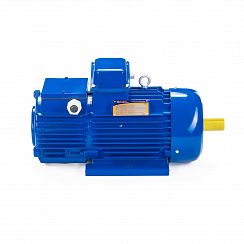 Электродвигатель 5МТН 312-8 11/750 IM1001