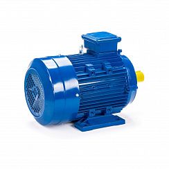 Электродвигатель ESQ 100 LС4-SDN- 4/1500 IMB34