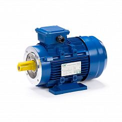 Электродвигатель ESQ 63 С2-SDN- 0,37/3000 IMB34