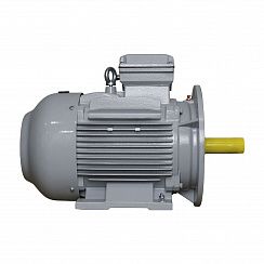 Электродвигатель ESQ PR 160 L2-SDN-Б1-S12-IE2 18,5/3000 IMB35