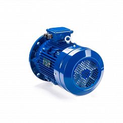 Электродвигатель ESQ 100 LB4-SDN- 3/1500 IMB5
