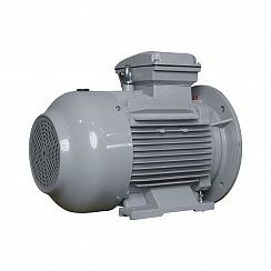 Электродвигатель ESQ PR 160 L2-SDN-Б1-S12-IE2 18,5/3000 IMB35