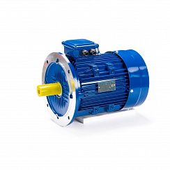 Электродвигатель ESQ 100 LB4-SDN- 3/1500 IMB5