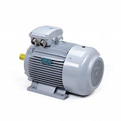 Электродвигатель ESQ PR 225 S4-SDN-Б1-S12-IE3 37/1500 IMB3