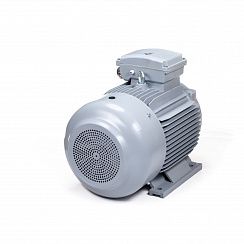 Электродвигатель ESQ PR 225 S4-SDN-Б1-S12-IE3 37/1500 IMB3