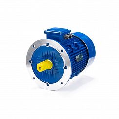 Электродвигатель ESQ 100 LB4-SDN- 3/1500 IMB5