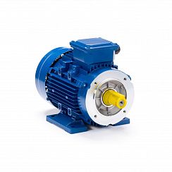 Электродвигатель ESQ 80 B6-SDN-ED 0,55/1000 IMB34