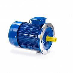 Электродвигатель ESQ 100 LB4-SDN- 3/1500 IMB5
