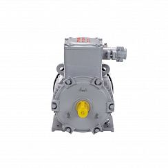 Электродвигатель АИМУ 100 L2 У1, 380В, 1ExdIIBT4 Gb, 5,5/3000 IM1081