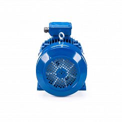 Электродвигатель ESQ 100 LB4-SDN- 3/1500 IMB34