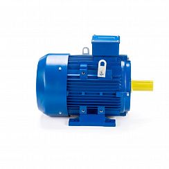 Электродвигатель ESQ 180 M2-SDN- 22/3000 IMB3