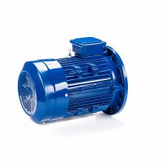 Электродвигатель ESQ 100 LB4-SDN- 3/1500 IMB5