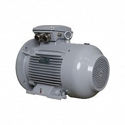 Электродвигатель ESQ PR 160 L2-SDN-Б1-S12-IE2 18,5/3000 IMB35
