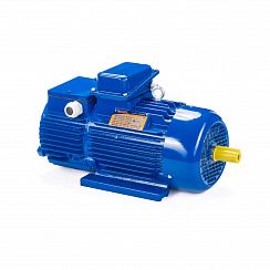 Электродвигатель 5MTH 400 S10 110/600 IM1004